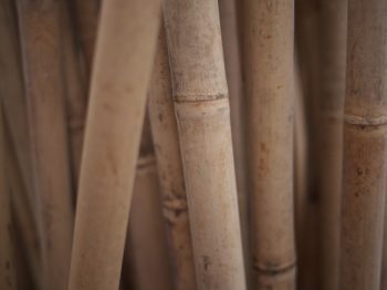 Bamboo-Poles - Cut & Dried From $5 to $20