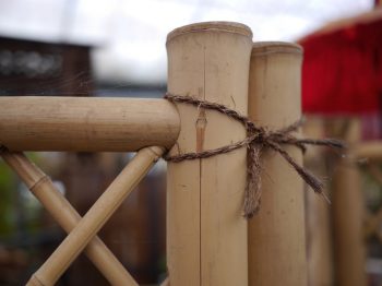 Bamboo fencing light coloured 1.8 h 1.2 wide with twine $180 <br> Bamboo fencing light coloured 1.8 