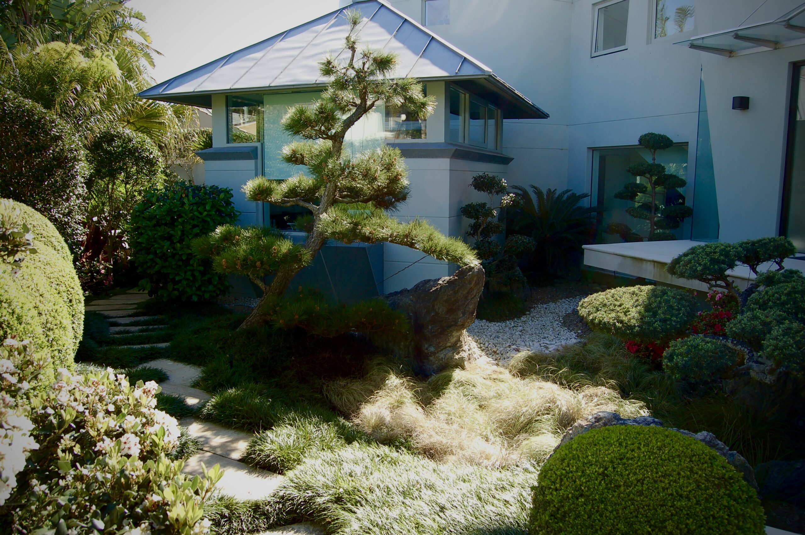 Contemporary residential garden design in an Oriental style