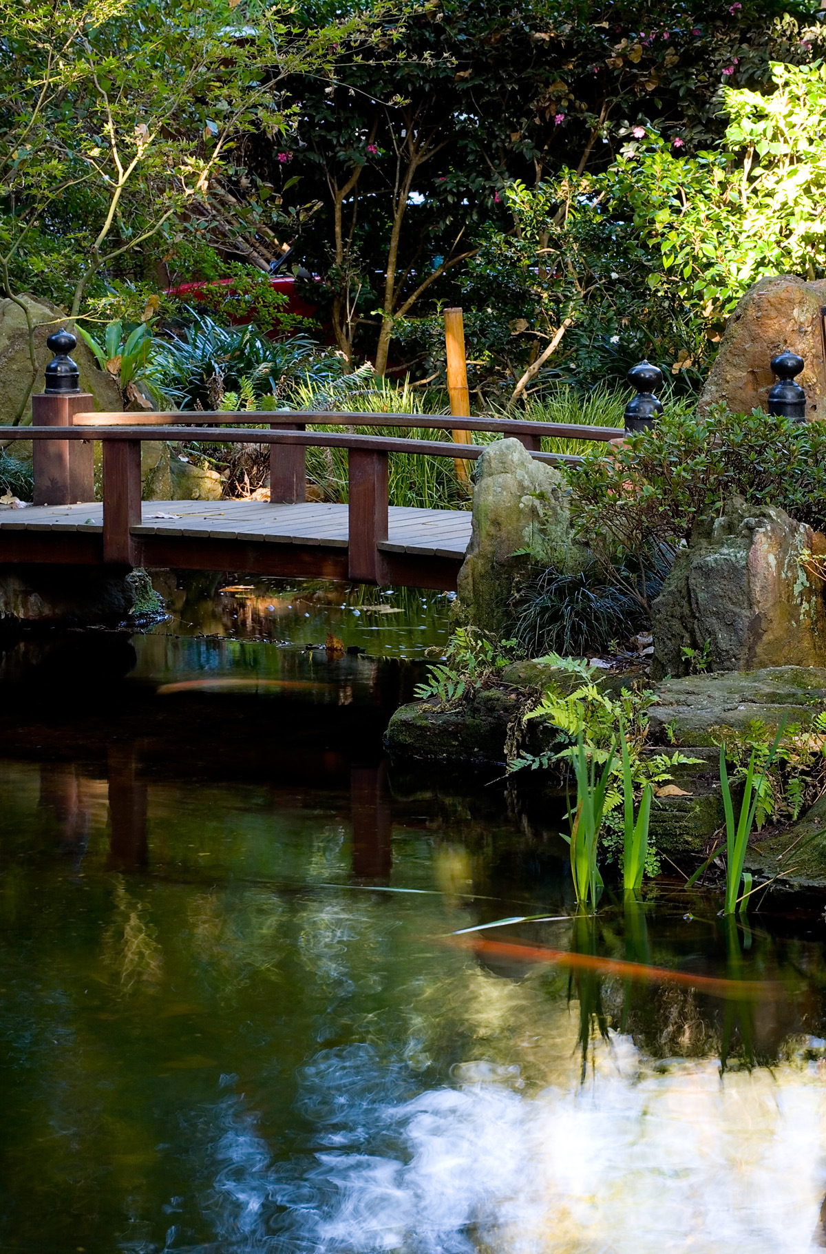 A beautiful wooden bridge over a pond in a commercial Oriental garden design