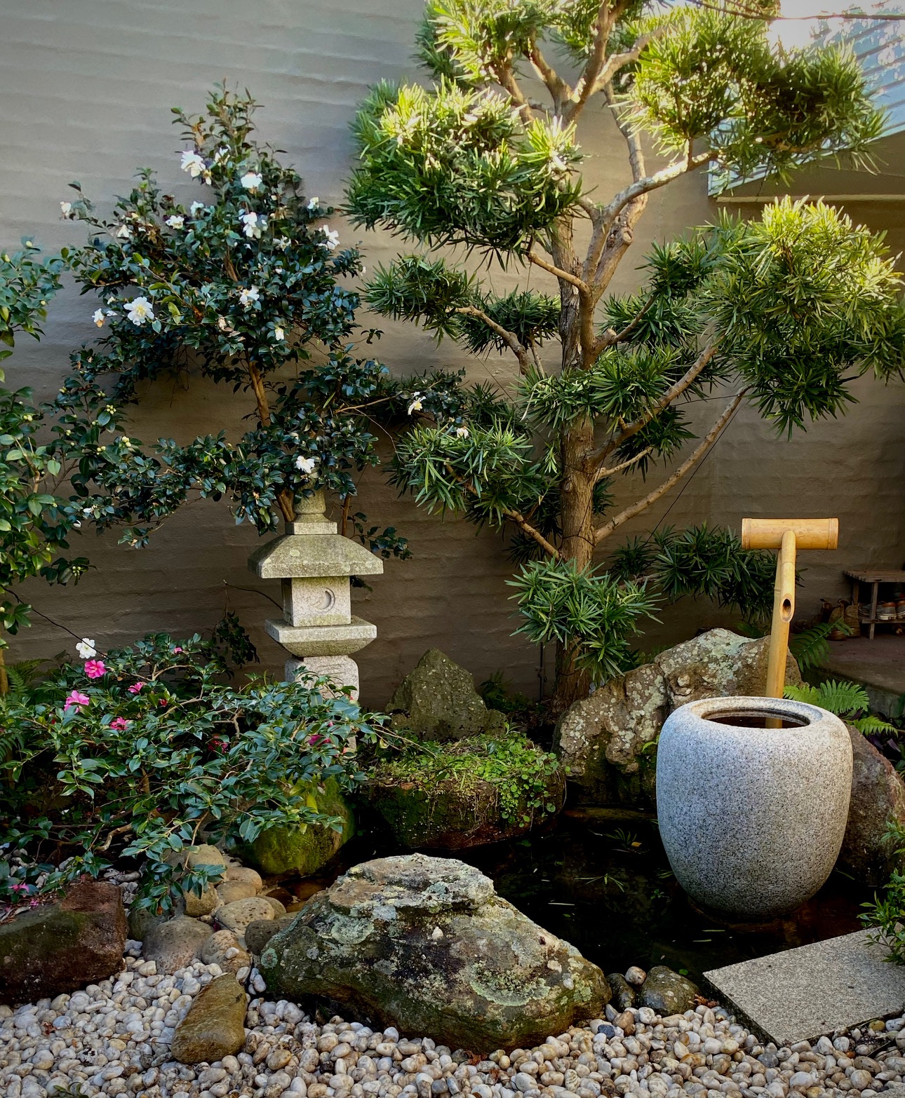 Beautiful Oriental garden designed in Australia with a water spout