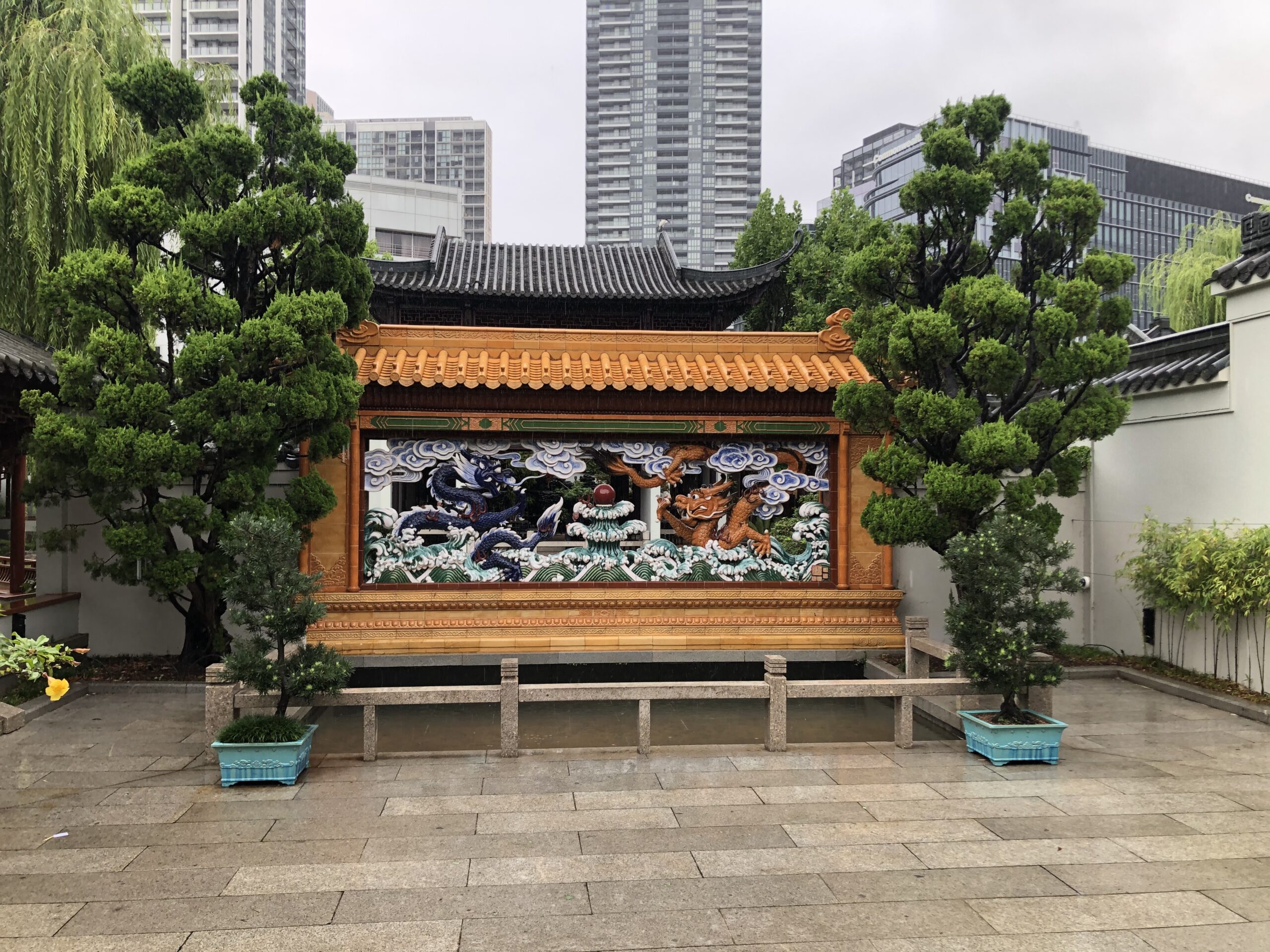 Specialist pruning and refurbishment at Darling Harbour Chinese Garden of Friendship