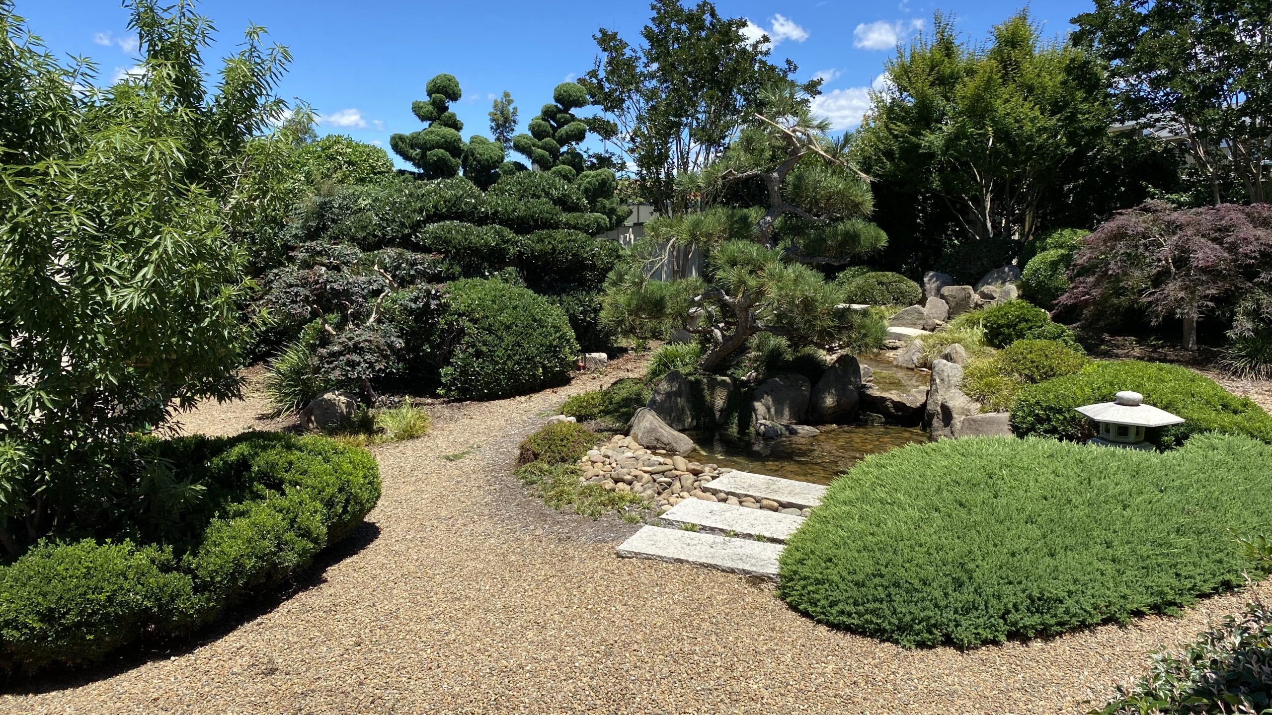 A gorgeous Oriental garden with well maintained pebble path, pruned trees and water feature