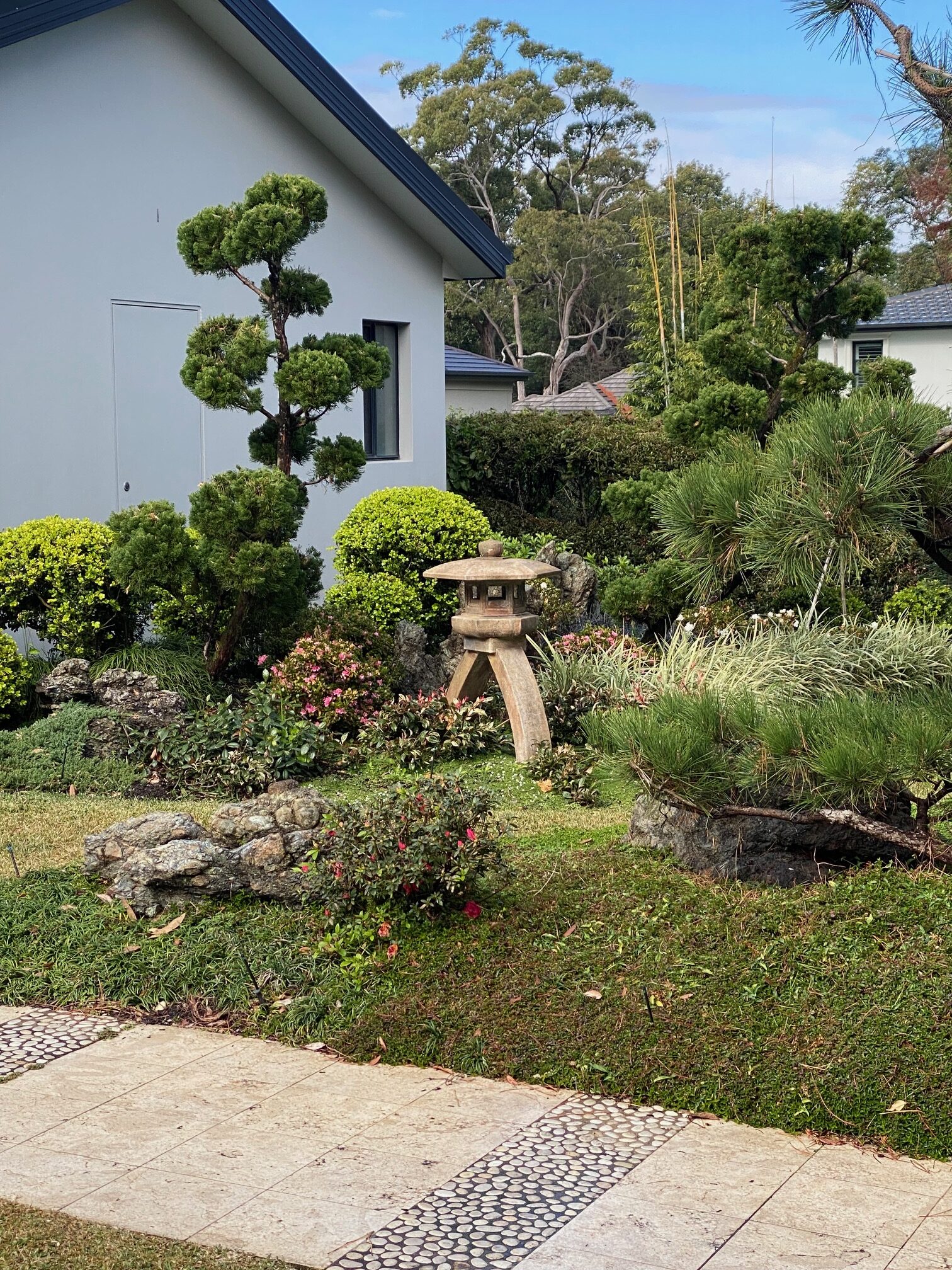 Japanese pine, stone lantern and pruned bushes in a residential Oriental garden landscape